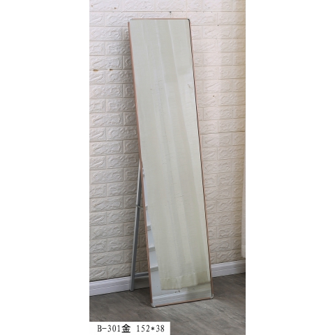 勝芳家具批發 穿衣鏡 全身鏡 試衣鏡 落地鏡 落地穿衣鏡 服裝店鏡子 門廳家具 臨豐家具