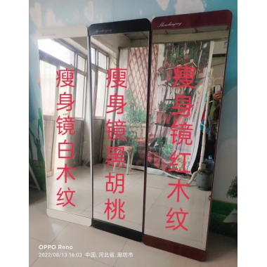 勝芳穿衣鏡批發 全身鏡 試衣鏡 落地鏡 服裝店鏡子 臥室長鏡子 瘦身鏡 全身鏡 簡約 立體 移動 家用 天晟家具