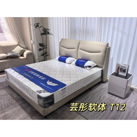 勝芳床鋪批發 雙人床 軟床 現代簡約軟床 北歐輕奢軟床 臥室家具 小戶型家具 高檔床 高端床 宇鑫家具